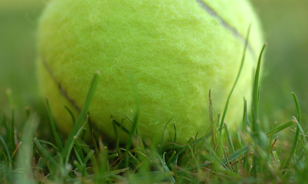 Close-up of a tennis ball on the grass court surface at Wimbledon